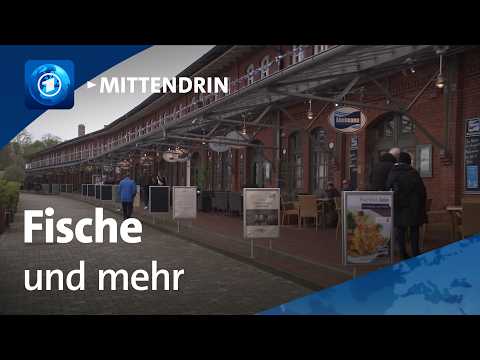 Bremerhaven: Der Wandel des Fischereihafens | tagesthemen mittendrin

Bremerhaven war jahrzehntelang einer der bedeutendsten Standorte f&uuml;r Fischfang in Deutschland. Heute lebt die Stadt auch stark vom Tourismus.

#Bremerhaven #Der #Wandel #des #Fischereihafens