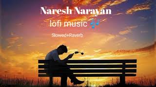 Naresh Narayan lofi music
