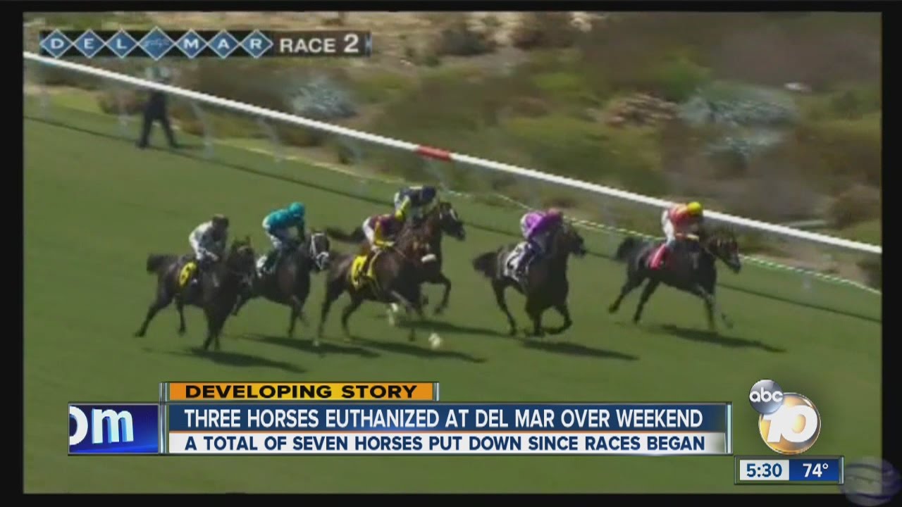 Seven horses euthanized in Del Mar