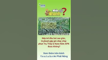 APN - NẾP TRỔ ĐỀU CAO GIÀN GẶP GIÓ CHÁY LÁ PHUN TRỤ THÉP + NANO KẼM APN ĐƯỢC KHÔNG?