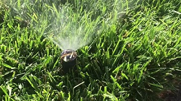 Xeriscape pros and cons