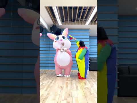 🐰Bunny 🐯Kitty Poppy🎈