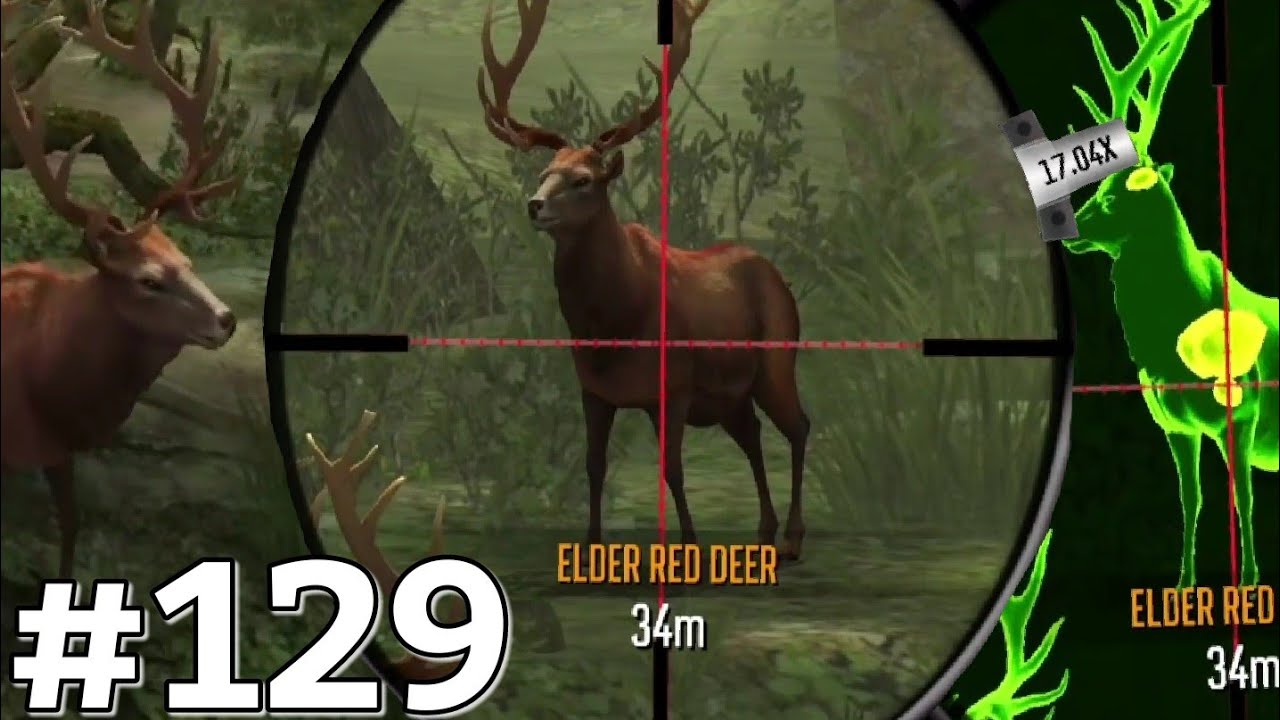 Deer Hunting Game 2016 Pro Sniper Kill The Forest Deer