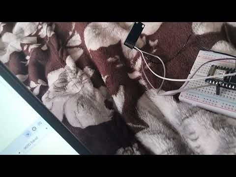 Task 3.1 P Embedded systems Ramneek Singh s223927982 T1/25 Demo