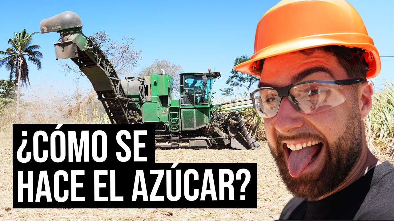 Nos colamos en la fábrica de azúcar más grande de Costa Rica