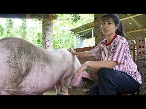 Returning to the Farm After 8 Months Caring for My Baby