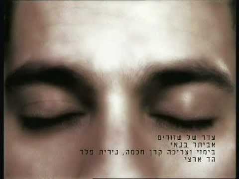 עטיפת עדר של שוורים