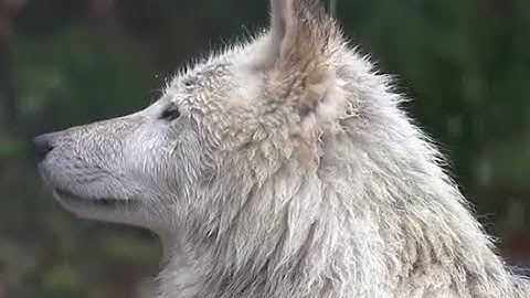 Combination Solutions # 46: Remove Guilt And Depressive Feelings