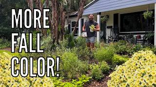 Adding More Fall Color to My Florida Landscape! Planting Supertunia Petunias 🍂🌸