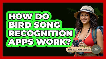 How Do Bird Song Recognition Apps Work?