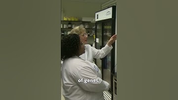 Introduction to CRISPR Cas9 Gene Editing