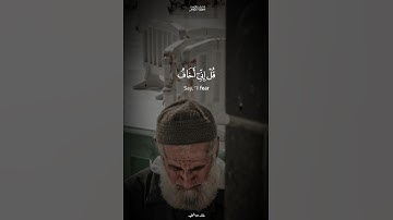 القارئ الشيخ حسن صالح | سورة الزمر