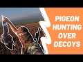 Pigeon hunting over decoys | Sweet ShotKam footage - BHT