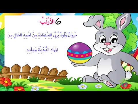  المستوى الثاني إيقاظ علمي  الحيوانات الأليفة منافعها و مضارها