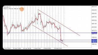 تحليل الذهب لهذا اليوم تاريخ 14 2 2024