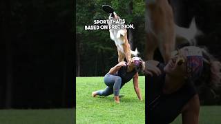Want to learn disc with your dog Be sure to subscribe and stay tuned. #chrissyjoy #dogtrainer #dog