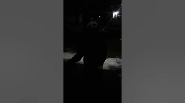New dance