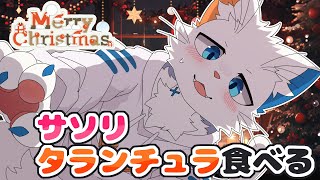 【クリスマス雑談】サソリとタランチュラとケーキを食べながら聖夜を祝おう【ケモノVtuber】