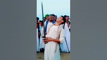 بن عامر وحباب شرق السودان 