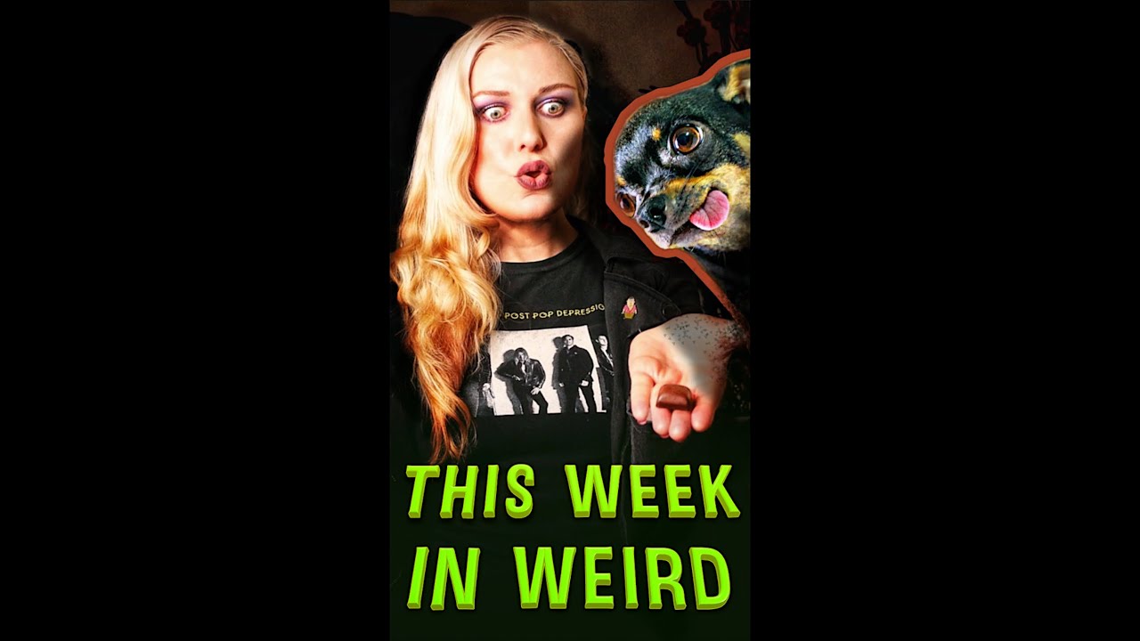 Dog did WHAT in a Woman's Mouth?? 💩 HOSPITALIZED! This Week In Weird