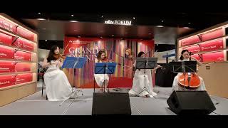 Palladio cover by Belladonna String Quartet