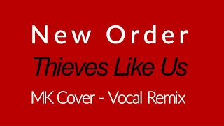 New Order - Thieves Like Us - MK Cover Vocal Remix