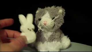 Mystery Bunnies Peeps, Kitty Taste Tests