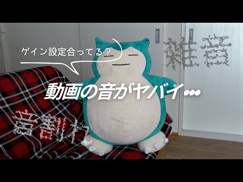 マイクとカメラ設定で音割れ、雑音の嵐／正しいゲイン調整・設定とは？