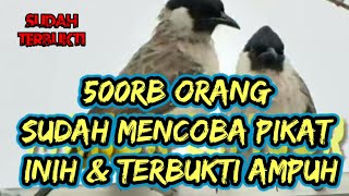 SUARA PIKAT BURUNG KUTILANG GACOR DURASI PANJANG part II