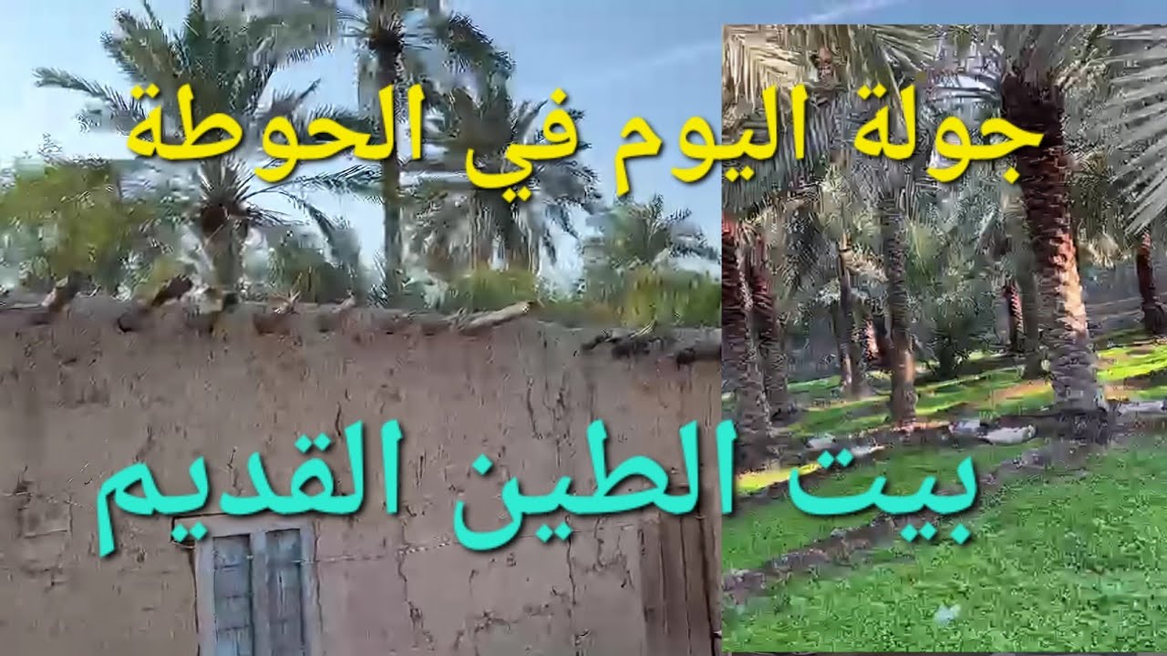 جولة اليوم في قضاء شط العرب بساتين الحوطة مع تحياتي للجميع #أحمد_مهدي