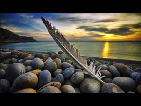 BaBaK SHaYaN ~ SeaSoNS