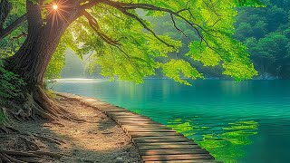 Relaxing music that heals stress, anxiety and depressive conditions, heals the mind