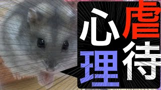 【飼育やめとけ】ハムスターや小動物を虐待する心理を考察。