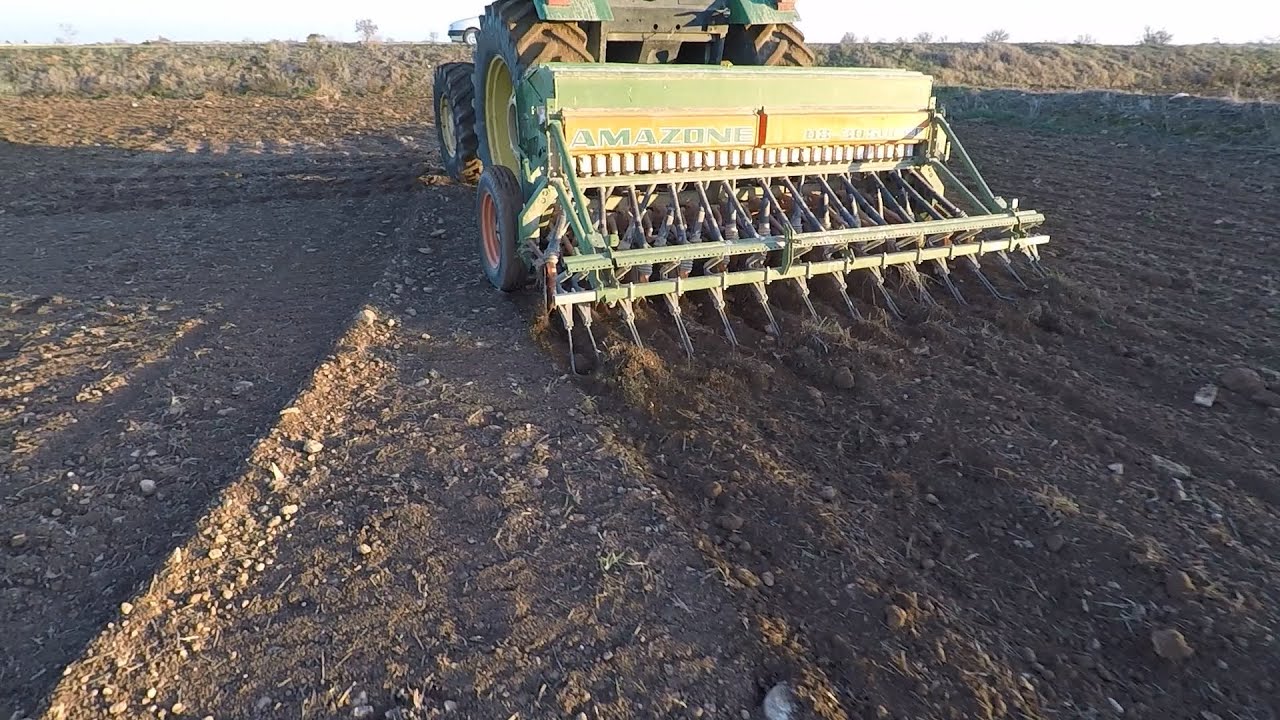 Semana SEMBRANDO CEBADA con la AMAZONE D8 30 SUPER