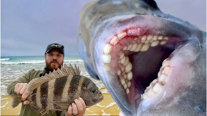 How To Catch SHEEPSHEAD