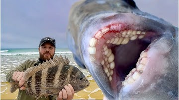 How To Catch SHEEPSHEAD