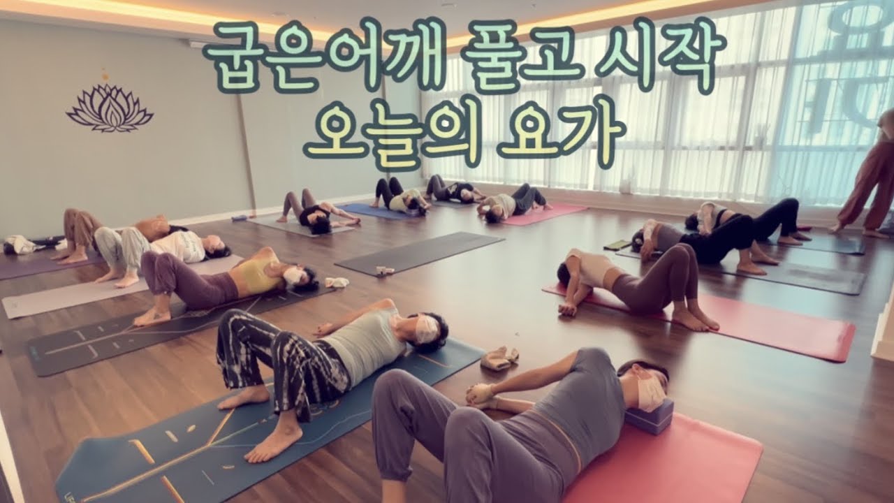 [엔젤요가] 뭉친어깨 풀고 시작하는 하타요가 | 오늘의요가 | 요가맛집 | 데일리요가 | 어깨풀기 | 골반교정 | 도립아사나들