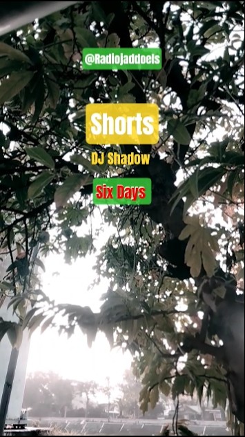 Six Days - DJ Shadow ( Mos Def )#shorts #storywa #lagu#barat #remix @Radiojaddoels