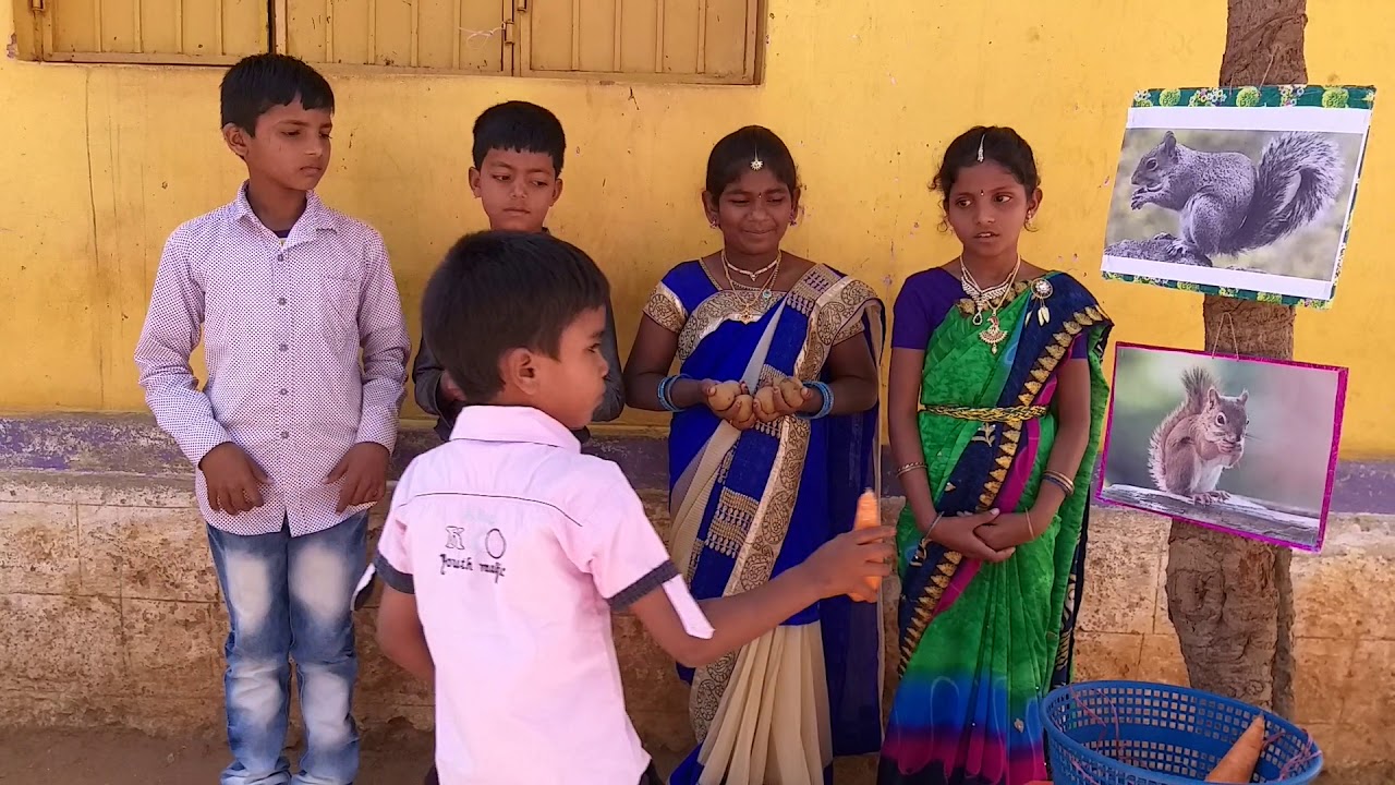 1వతరగతి-తెలుగు:ఉడత-బుడత(అభినయగేయం) by SREENIVASULU BIKKI,Nusikotala,Kalyandurg(M),ANANTAPUR(Dist),AP