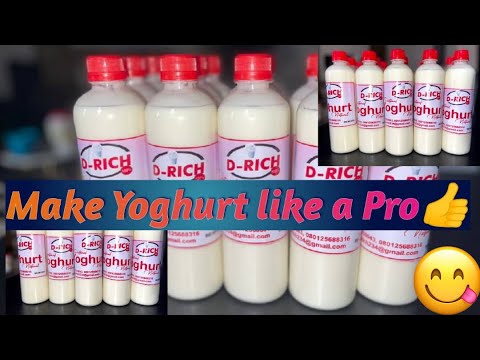 A To Z On HOW TO MAKE YOGURT LIKE A PRO D Rich Yoghurt Very Rich Tasty And Nutritious 