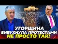 ⚡️Орбана АЖ ЗАТРЯСЛО! ВПЕРШЕ вийшло 150 ТИСЯЧ угорців, ЙДУТЬ ВІДСТАВКИ, делегація США в шоці | ТОМПА