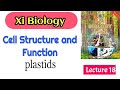 Plastids and its types chloroplast chrmoplast leucoplast in sindhi clas 11 IBA junior science teachr