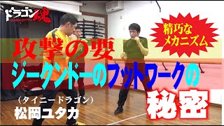 【ジークンドー】截拳道（ジークンドー）における技術の根幹をなすフットワーク　混ぜない　足さない生粋のジークンドー　タイニードラゴン　松岡ユタカ　☆実技その１　パート３