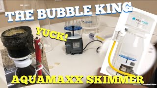 Ultimate skimmer (Aquamaxx Q2)