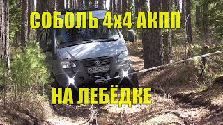 видео: По лесовозным КОЛЕЯМ на ЛЕБЁДКЕ! Соболь 4х4 АКПП. Едем смотреть водопады и озёра! Разведка маршрута. картинка: По лесовозным КОЛЕЯМ на ЛЕБЁДКЕ! Соболь 4х4 АКПП. Едем смотреть водопады и озёра! Разведка маршрута.