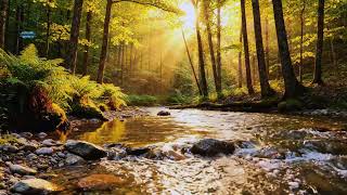 Relaxing ASMR Nature Sounds with Forest River & Birds 🌳🐦🍃