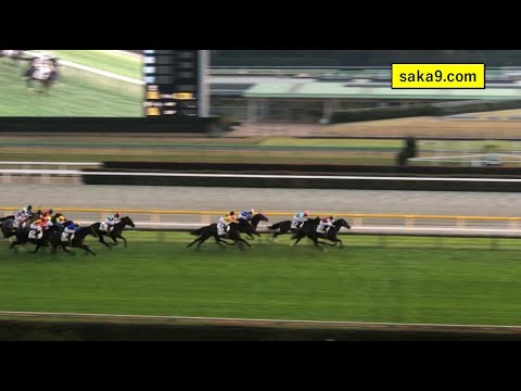 【現地】ウインシャーロット 3歳上1勝C