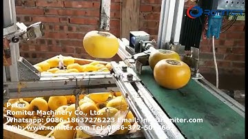 Automatic Persimmon Knife Peeling Machine