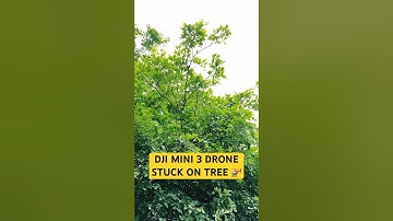 DJI Mini 3 Pro Drone Stuck in Tree during Back to Home #djiminipro3  #droneflight  #dronecrash