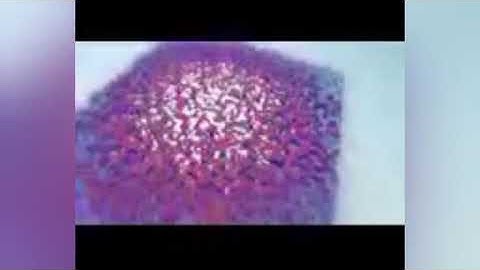 CLASS  5th COMPUTER CHAPTER 3  ADVANCE FORMATTING FEATURE IN MS WORD..